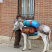 Pilger mit Esel in Calzadilla de la Cueza