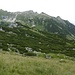 Blick zum höchsten Gipfel des Rofan u. zum Dalfazkamm.
