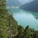 Im Wald über dem Achensee