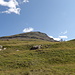 Die weiten Ausläufer der Westhänge der Aiguille de la Grande Sassière werden auf ca. 2400m Höhe gequert. Zwischenzeitlich ragt der Gipfel der Grande Sassière (rechts) hervor.