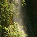 Fast wie im tropischen Regenwald: Der Wasserfall des Rio Cornera.