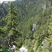 Blick hinunter in die Zimmerbergklamm