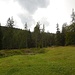 Aussicht von der Terasse vom Strassberghaus
