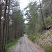 Auf der Strasse Richtung Wildermieming