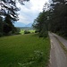 Endlich aus dem Wald