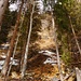 Auf dem Waldpfad: Blick nach oben zur Felswand mit dem Eingang der Grube Fliden ("Goldene Sonne")