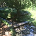 Piccolo ponticello in legno prima dell'Alpe Voma