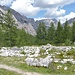 die Überbleibsel der Glanvellhütte