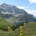 zurück zum Ausgangspunkt - mit leuchtendem Bannalpsee und Enzianen