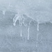 Eiszapfen beim Aufstieg zum Rütistein IV