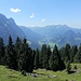 Obergiblen-Alpe: Blick Richtung Mellau