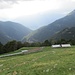Alpe Vesina