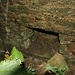 Drátovna, Kellergewölbe 2, hatte zwei gleichartige Aussparungen (vmtl. technischer Natur)