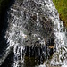 elementi della vita, acqua, terra!