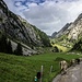 Viel Verkehr auf dem Weg zur Alp Tesel