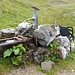 Ein netter Brunnen am Hochleger. Mittagspause.