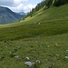 Die Hochstall-Almen sind fantastisch, solche Weite! Und viele Tiere...