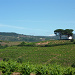 Landschaft kurz vor Villafranca del Bierzo