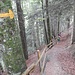 steiler Abstieg von der Fuchsenegg nach Säumettle ...
