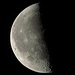 Der Mond um 5.26 Uhr, aber aufstehen wollen wir noch nicht, denn draußen ist es kalt:-( / La luna alle 5.26. Fa freddo fuori e non abbiamo voglia di alzarci:-(.