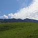 Sonnenköpfe