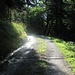 wieder auf der Strasse nach St. Martin