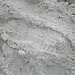 tipica sabbia bianca del Passo Venett