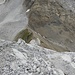 Blick auf die Gamskarscharte von der Fallersteisspitze