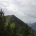 Blick zum Buochserhorn unter eher grauem Himmel