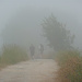 Nebel, ein häufiger Begleiter in Galicien