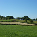 Landschaft zw. Sarria und Portomarín