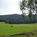 Nette Waldbuckel
