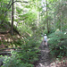 Der Wanderweg, anfangs noch wenig steil