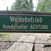 Weidevieh und Hunde, das hatten wir ja schon öfters