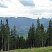 Waldige Aussichten nach Süden