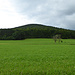 Blick zurück