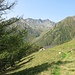 Alp Läger