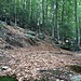 Köhlerplateau