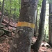 Gelbes Isolierband unterhalb Corte di Mezzo
