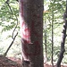 Guido auf Tessiner Dialekt?? (Markierung auf dem Abstieg)