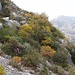 schöne mediterrane Vegetation,kaum 1km entfernt vom Business in Monaco
