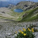 Grand Laus