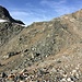 Aufstieg ein Stück rechts vom Gletscherbach (s. Bild mit Route)