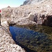 Sono dei piccoli gioielli in un mondo di pietre.