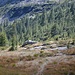 sentiero nell'Alpe Cranzunasc