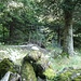 .. und der "Gipfel-Steinmann"