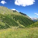 Blick talauswärts, hinten die Lienzer Dolomiten