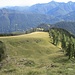 Monte Ziccher : pendio erboso verso Pragrande e l'Alpe Blizz