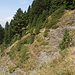 Im Abstieg zwischen Vrh Bora und Katun Grlata - Rückblick. In der oberen Bildhälfte (rechts) quert der Weg etwas ausgesetzt den Hang.