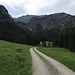 Der Weg von der Vilser Alm zur Abzweigung Vilser Jöchl / Il sentiero dalla Vilser Alpe alla diramazione al Vilser Jöchl